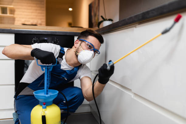 Best Pest Inspection Near Me  in Romoland, CA