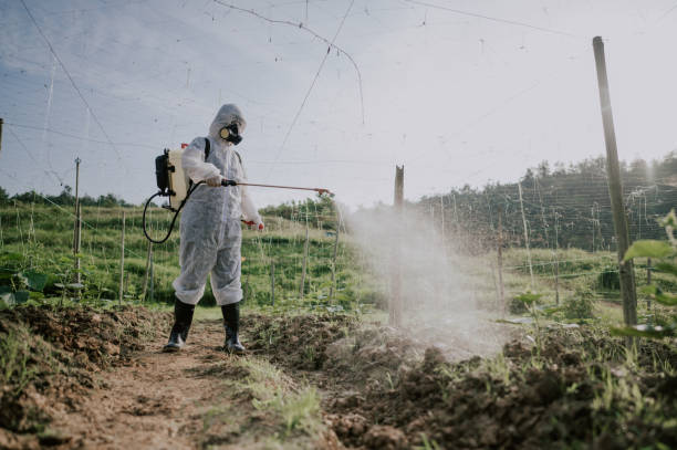 Pest Prevention Services in Romoland, CA