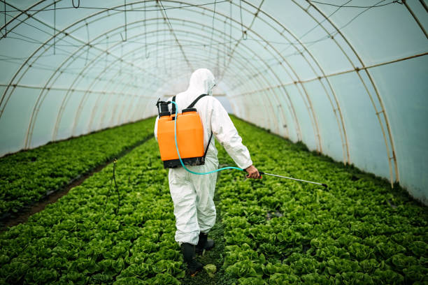 Best Residential Pest Control  in Romoland, CA