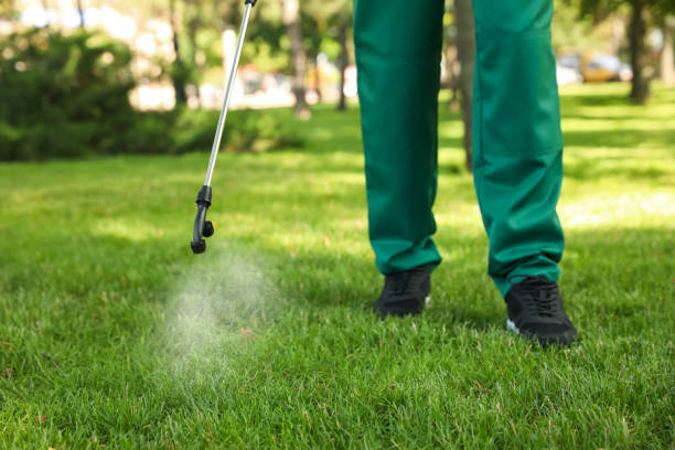 Best Insect Control  in Romoland, CA