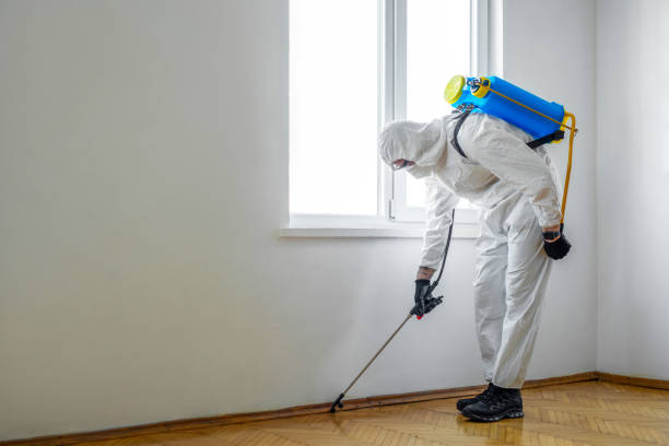 Best Insect Control  in Romoland, CA
