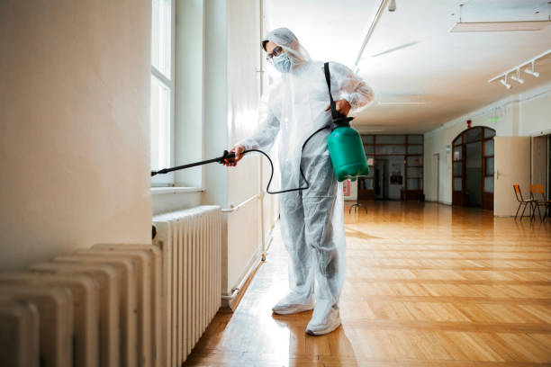 Best Bed Bug Extermination  in Romoland, CA